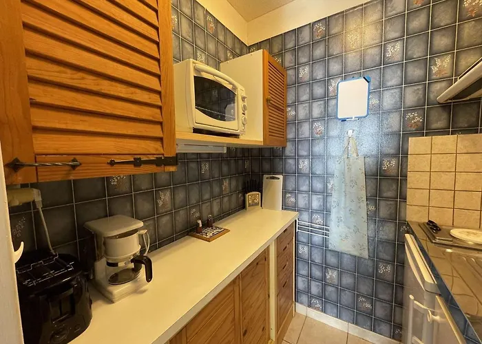 2 Pièces Avec Loggia, à 200m De La Mer, 4 Couchages, Avec Tv Et Lave-linge Séchant - Fr-1-224c-213 *