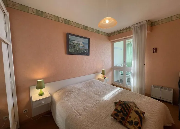 2 Pièces Avec Loggia, à 200m De La Mer, 4 Couchages, Avec Tv Et Lave-linge Séchant - Fr-1-224c-213 *